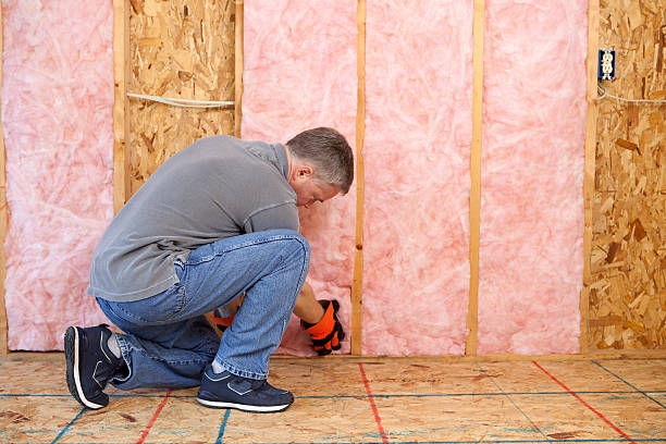 Best Insulation Repair Services  in Fullerton, CA