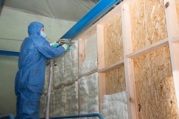 Best Spray Foam Insulation  in Fullerton, CA